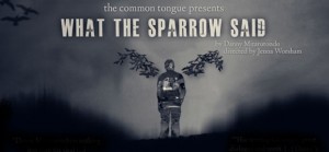 sparrow